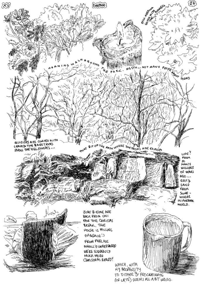 SundayComic: comic drawn on Sundays from Life and photo-reference: morning drifted to afternoon and afternoon drifted to evening & we lost the daylight before I was ready. 
Jude & Esme are back home; we're starting to fill up for the christmas period.
