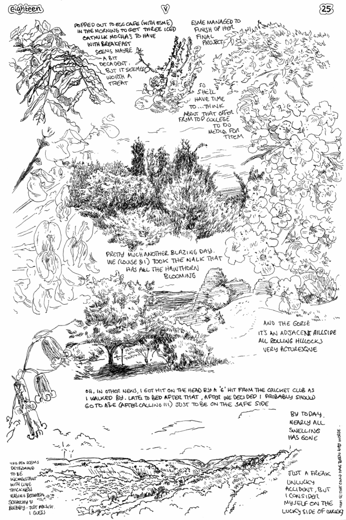 SundayComic: comic drawn on Sundays from Life and photo-reference: Whilw we've had nonrain for what seems like weeks, everything seems to be flourishing. Clear blue skies and greens are so very green, bursting with green.Its the season of hawthorn blossom so we took a walk a hillside we known takes many in; mostly white, but some are pink (not that my line drawings can show that). Mostly drawings of hillsides trees and blossom,