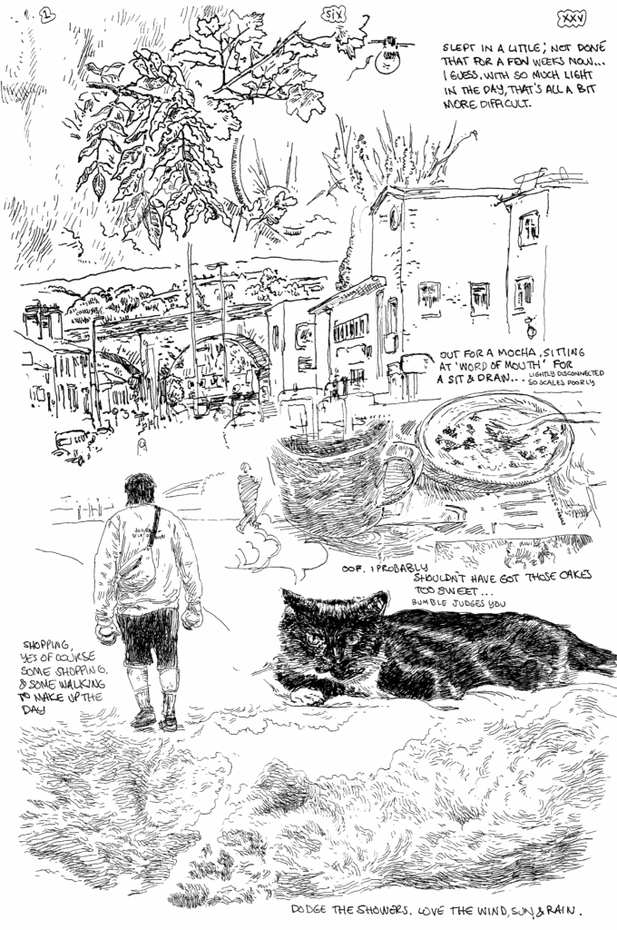 SundayComic: comic drawn on Sundays from Life and photo-reference: I'm a little run down today, i think. Just a bit tired, so this text won't have a hint of brio, is being ... not that it generally does.  A sunday-ish sunday, with some walking and some shopping, but a nice bit of sitting at a cafe, there i failed to get the right thing ordered & probably should not have bought cake as they laid heavy on me.