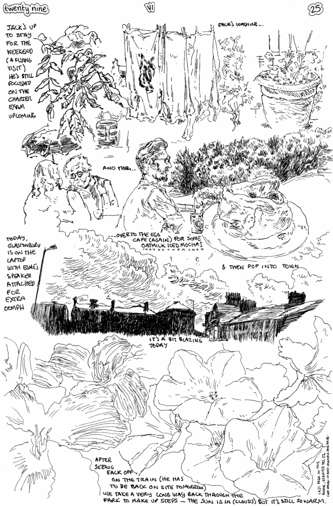 SundayComic: comic drawn on Sundays from Life and photo-reference: a hot day from an oppressive night. Bright summer mornings wake you early, but you can't blame them, or even resent them because they're summer mornings & that's a beautiful thing.  Jack came up for the weekend, and it was good to see him, but he had to get back today (site job demands this).  Not really a great day for walking, as it's actually hot out and i get over-warm quite quickly, which narrows in my focus, which reduced the enjoyment a little.  Nevertheless the green, the flowers.