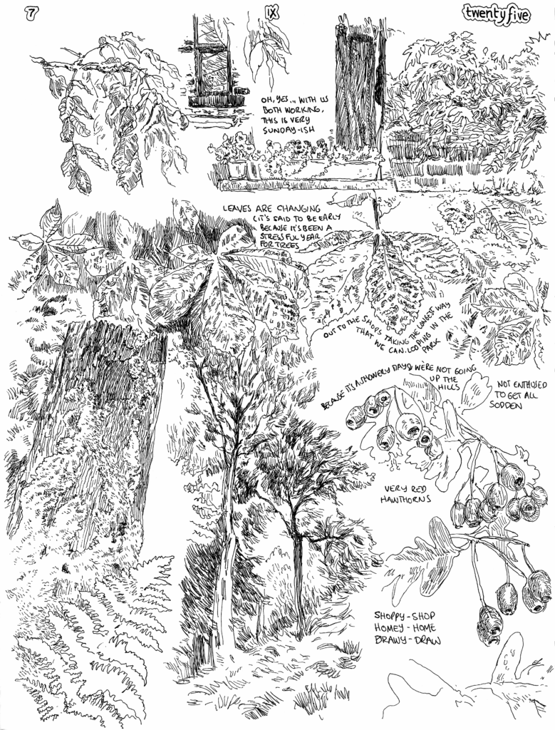 SundayComic: comic drawn on Sundays from Life and photo-reference. yes, yes; changing seasons & all that. Ticking along, happily enough.  Eve is traveling up this evening/night as she has a dental appointment from a while back, arriving tomorrow in the next town over.  At home Esme wanted to do a Sunday lunch (veg, veggie sausage, & & veggie gravy).  Eve will be too worn to to have her portion when she arrives.