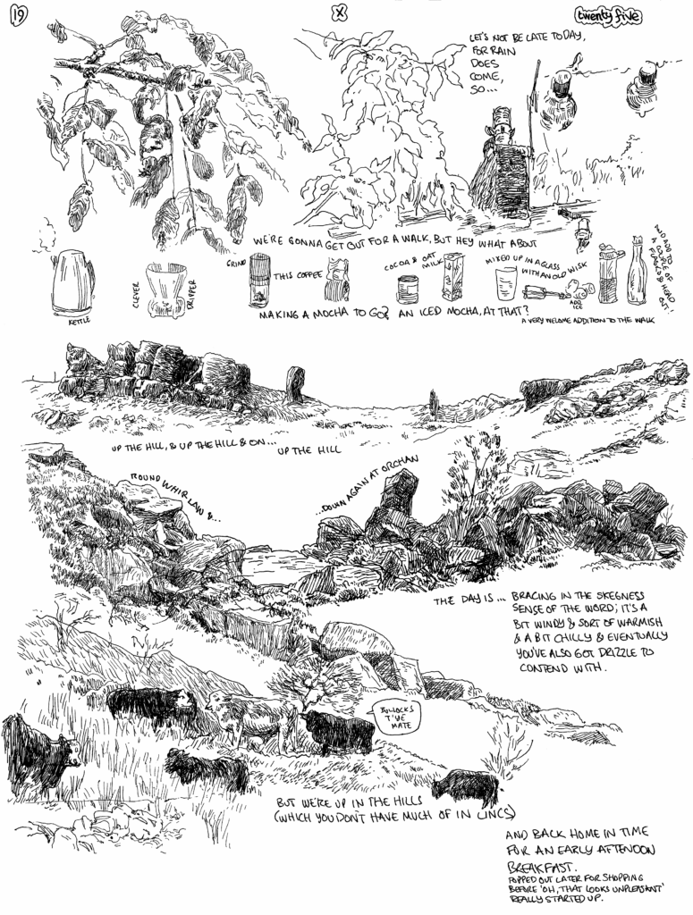 SundayComic: comic drawn on Sundays from Life and photo-reference.
I would not say we were up early; compared to weekdays certainly not, but compared to other Sundays, I woke up & got up because we knew that wile the day started bright there was a big (boring) rain front on the way.  Not a treacherous one to fill rivers, but one to keep you indoors (and we do like a bit of outdoors & up hills on a weekend if we can).  Up to where old sediments, frozen in time & scoured out of the earth by the patience or glaciers, wind & rain protrude from the hillsides along the valley.
Then back home to the warm, to hide from the outside.