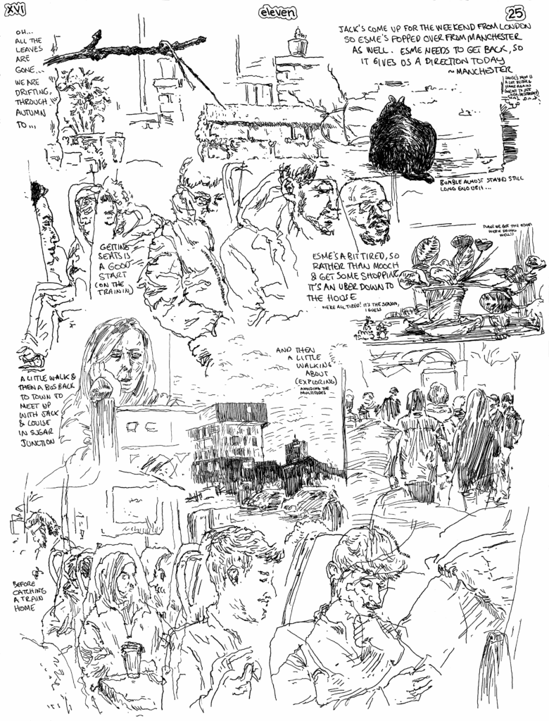 SundayComic: comic drawn on Sundays from Life and photo-reference.  Up early (because it was sunny & the cat wanted to go out).  OK, time enough for a trim, then.  We are fully in the progress of Autumn now, and we'll need to bring in the vulnerable plants soon.  The twig I've been drawing all year is just a twig again (such are cycles).  A Jaunt to Manchester to see Esme back to digs and a walk around redeveloping areas as the sun went down with Jack.  That and some wobbly (vibrating) lines on the train while I draw people.