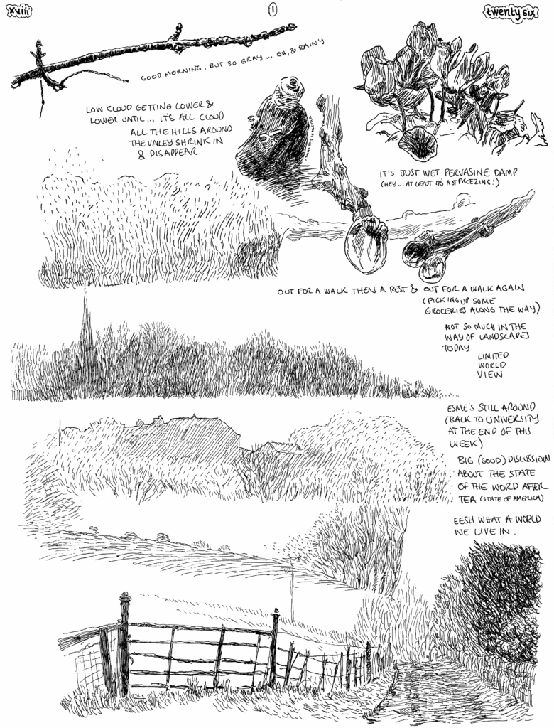 SundayComic: comic drawn on Sundays from Life and photo-reference.  Today's theme was dark & grey.  We slept in a little because it wasn't exactly a bright start to the day.  \we were not especially enthused to go out walking because it's damp & there clouds just enveloped everything, but when we did get out, while murky, it was atmospheric and even.. a little enjoyable as a consequence.  Esme made passata pasta with roasted garlic tomatoes which we had with the focaccia we got from Darley Street market yesterday.