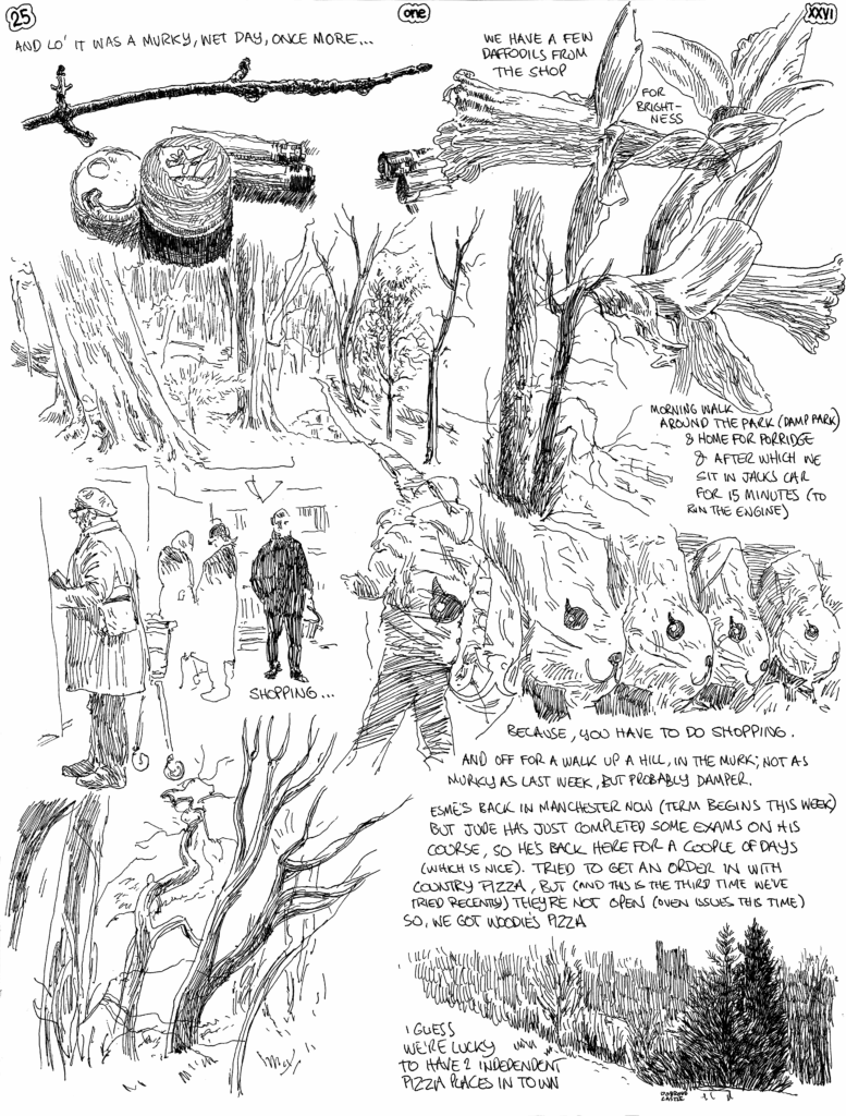 SundayComic: comic drawn on Sundays from Life and photo-reference. It's January, the days may be getting longer, but still it's dull & wet out there.  We have good walking spaces nonetheless & we get out a little bit.  While Esme is now back in Manchester for Uni, Jude is back from Uni for a couple of days.
I guess it's not freezing; that's something.