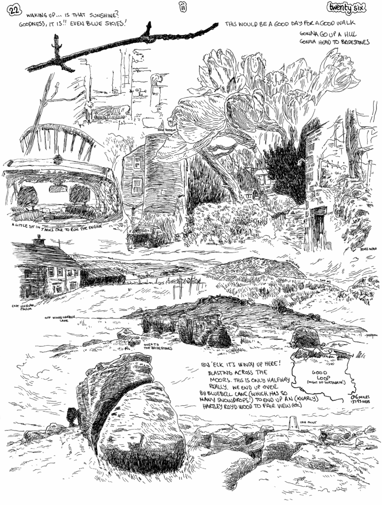 SundayComic: comic drawn on Sundays from Life and photo-reference.  With the addition of actual sunshine, today felt the most spring-like for a while.  Opting to go for a bit walk (out before midday) we went up to Bridestones (pretty directly & quite rapidly) and it was hecking windy & degrees chillier because of this, but we were happy.  Heading over all the stones on the moor (& the boggy sogginess) we headed downward nearer Orchan so opted to check out the abundance of snowdrops on Bluebell Lane, then down by the mast to & Hartley Wood (which has great atmosphere with mossy twisting oaks)
We mostly managed to avoid main roads on the way back down the valley as well (a plus)