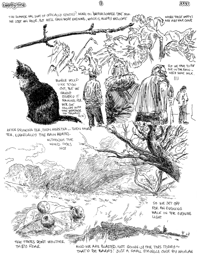 SundayComic: comic drawn on Sundays from Life and photo-reference. And did it rain today?  We could have avoided it and had a walk rally in the morning, but it's _Sunday_ so we had to avoid it by going  in the evening, which was OK, because it was still light (what with the clocks changing to BST).  This did mean a lot of sunday-esque activity like sitting around drinking tea.  During a break in the rain I even managed to get out into the garden to shove a few bulbs in the ground that might (or might not) grow as the year progresses.