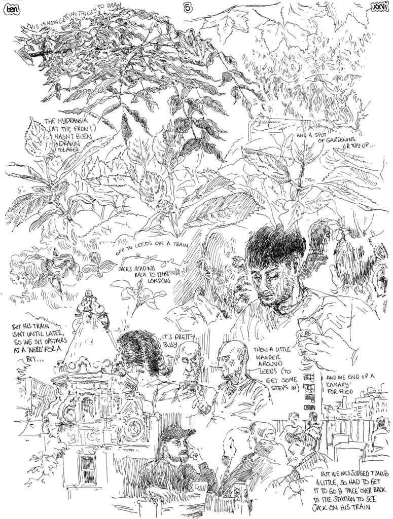 SundayComic: comic drawn on Sundays from Life and photo-reference.  A little pottering around in the garden this morning (I am not a gardener, but i can tidy), then off to Leeds this afternoon to see Jack off on a train.  Rounded off  pleasant weekend, all in all (let's not talk about depressing politics).