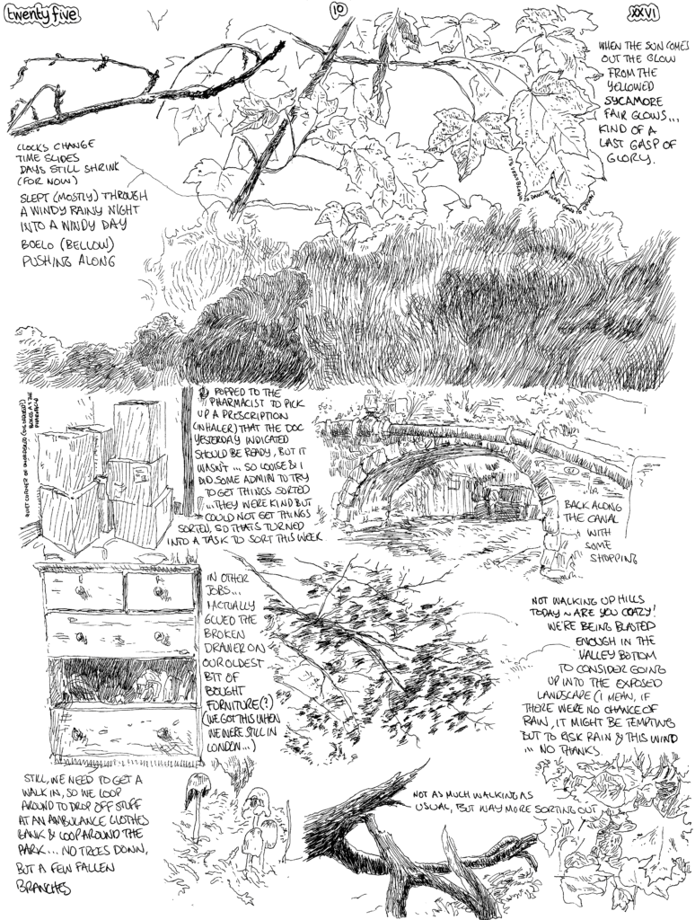 SundayComic: comic drawn on Sundays from Life and photo-reference: Just Louise & I today, so got one or two things done... well, mainly Louse get things done & I helped a bit... occasionally.
Clocks change so night drew in a bit too quick, bu there are only 57 days until days get longer!